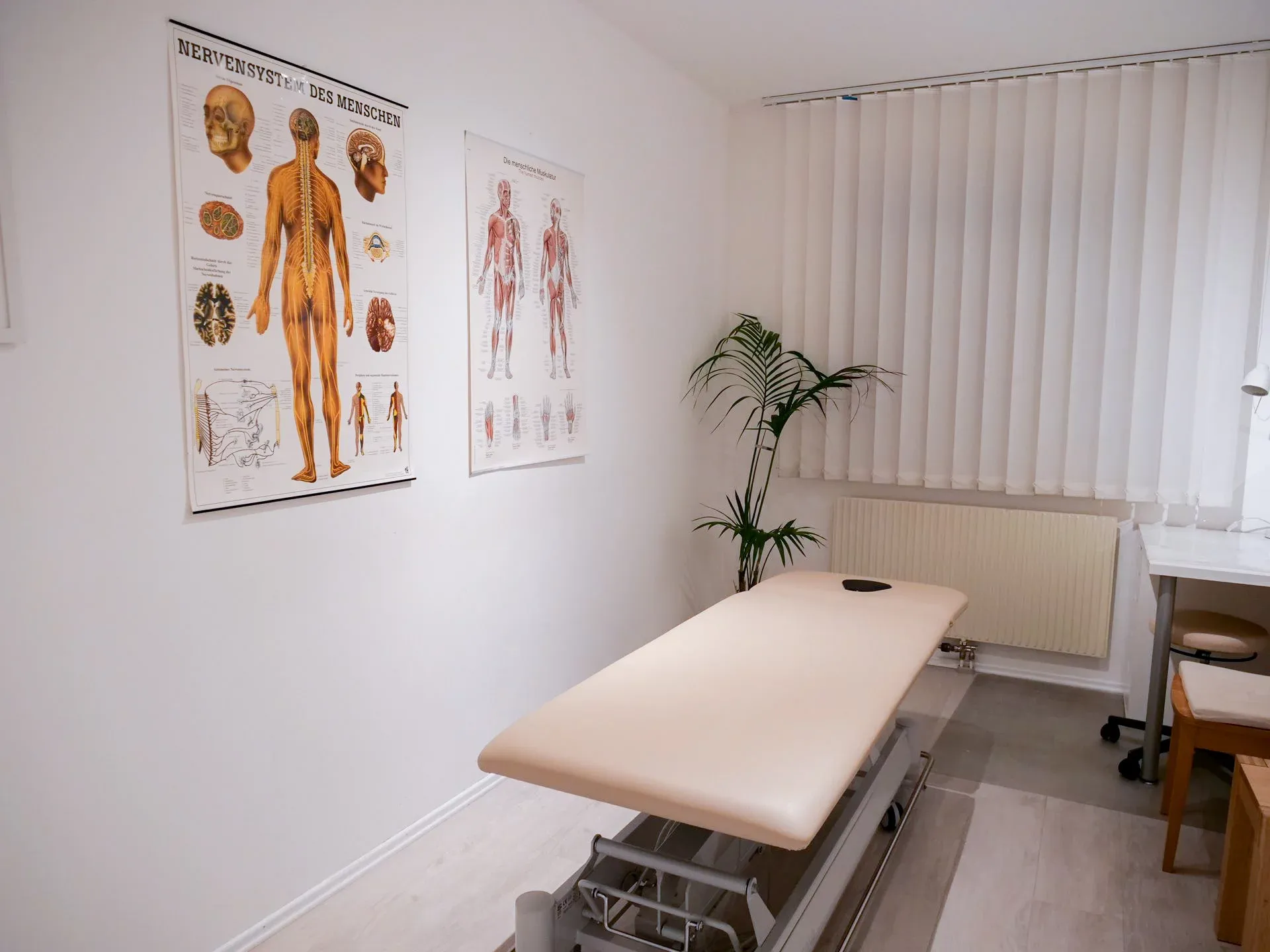 Zweiter Behandlungsraum mit Therapieliege und Pflanze
